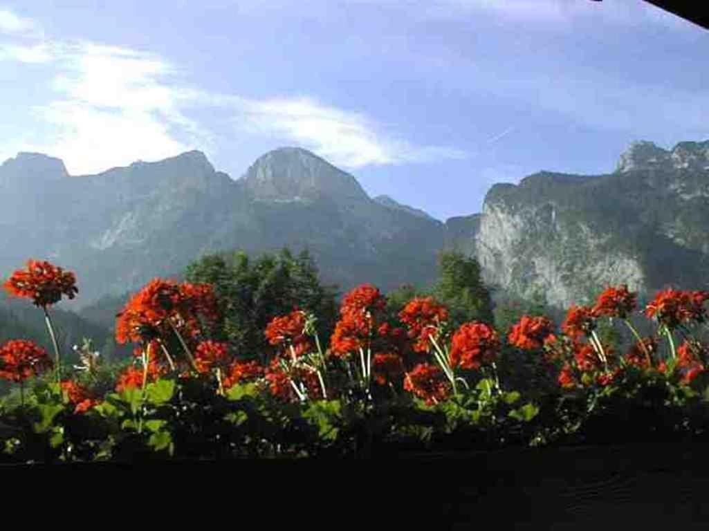 Schoerghof Abtenau Ngoại thất bức ảnh